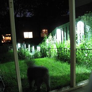 Fence LEDs nite summer