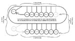 Newton's Cradle in a Closed Loop.jpg