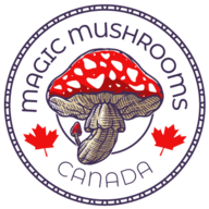 mushrooms21