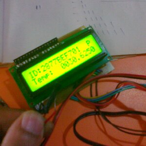 DS18B20 temp sensor (2)