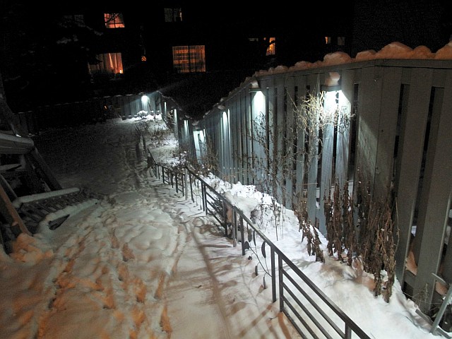 fence LEDs winter